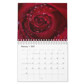 Roos Kalender (Feb 2027)