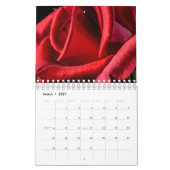 Roos Kalender (Mar 2027)
