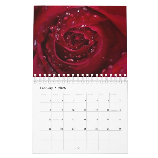 Roos Kalender (Feb 2026)