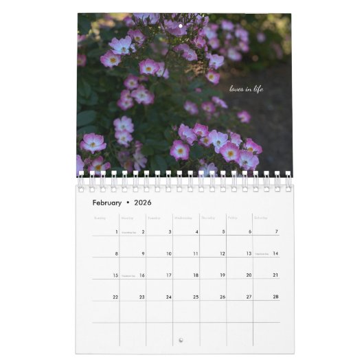 Roos Kalender (Feb 2026)