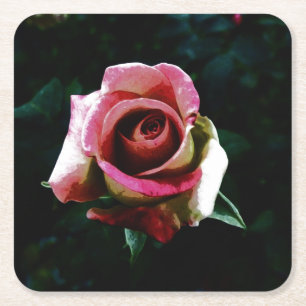 roos kartonnen onderzetters