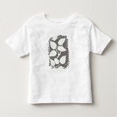 Roos Kinder Shirts (Voorkant)