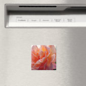 Roos Kleurenexpressie Vierkante magneet (Insitu (Vaatwasser))