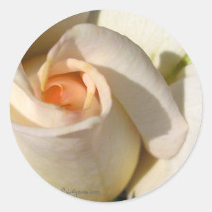 Roos knop bruiloft envelop afdichting ronde sticker