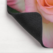 ROOS LADY DIANA MUISMAT (Hoek)