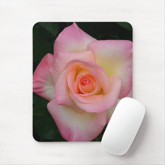 ROOS LADY DIANA MUISMAT (Met muis)