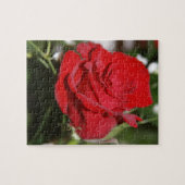 Roos Legpuzzel (Horizontaal)