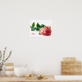 Roos (liefde) Value Poster Paper (Matte) (Keuken)