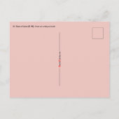 Roos Lima (Detail; K 48) Briefkaart (Achterkant)