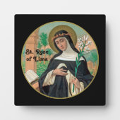 Roos Lima (Detail; K 48) Fotoplaat (Voorkant)