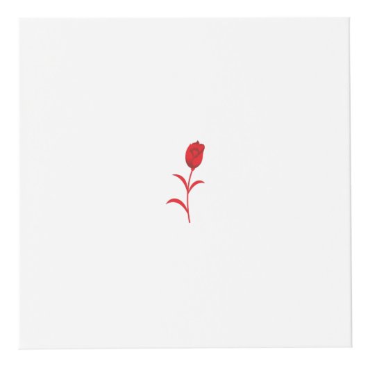 Roos Madder, Lava Red, bloemontwerp Kubus (Rechts)