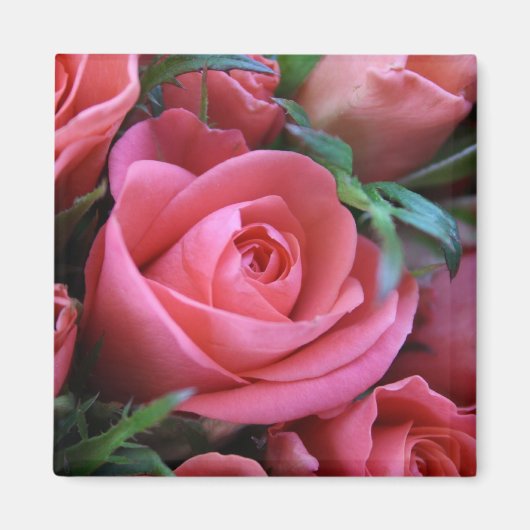 Roos Magneet (Voorkant)