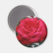 Roos Magnet (Voorkant / Achterkant)