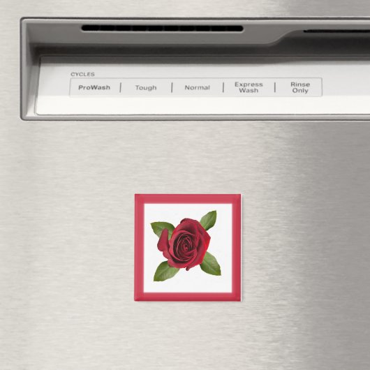 Roos Magnet (Insitu (Vaatwasser))