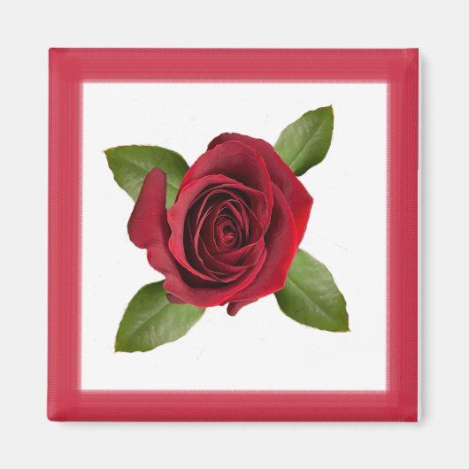 Roos Magnet (Voorkant)