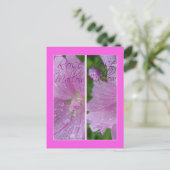ROOS MALLOW BLADWIJZER BRIEFKAART (Staand voorkant)