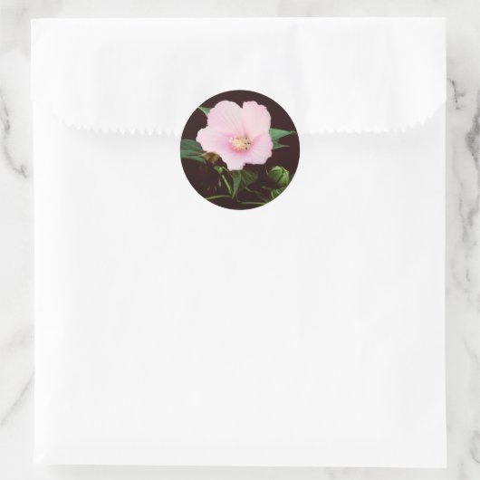 Roos Mallow Stickers (Tas)