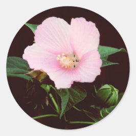 Roos Mallow Stickers