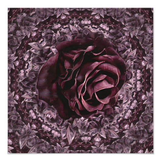 Roos Mandala Foto Afdruk (Voorkant)