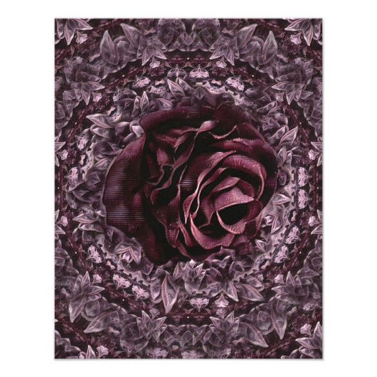 Roos Mandala  Foto Afdruk (Voorkant)
