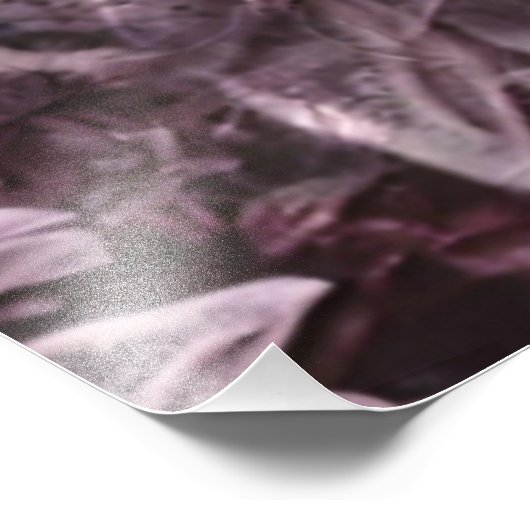 Roos Mandala Foto Afdruk (Hoek)