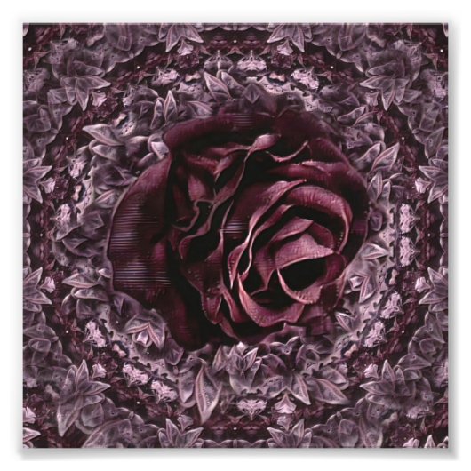 Roos Mandala Foto Afdruk (Voorkant)