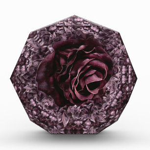 Roos Mandala Fotoblokken