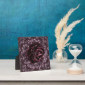 Roos Mandala Fotoplaat (Insitu)