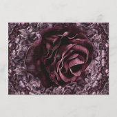 Roos Mandala Informatiekaartje (Achterkant)