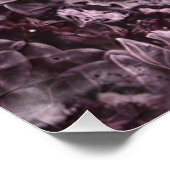 Roos Mandala Perfect Poster (Hoek)