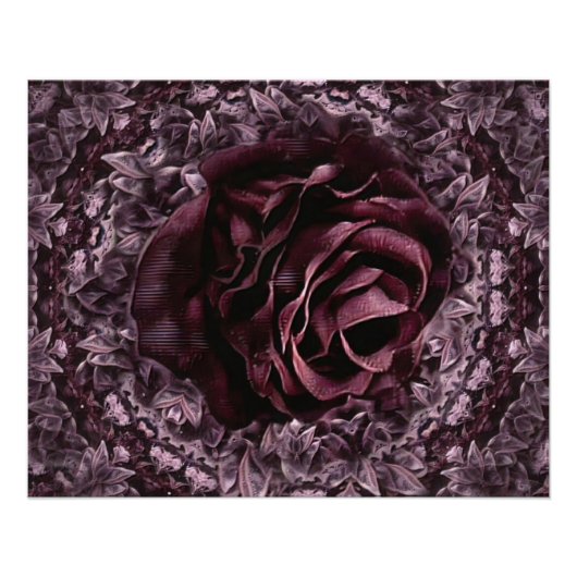 Roos Mandala  Perfect Poster (Voorkant)