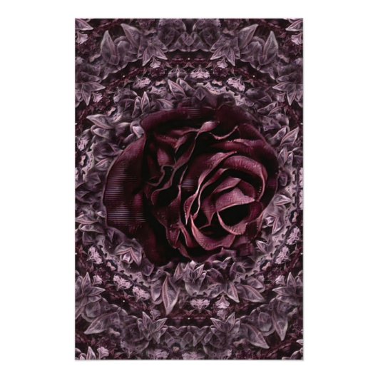 Roos Mandala Perfect Poster (Voorkant)