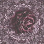 Roos Mandala  Sticker (Voorkant)