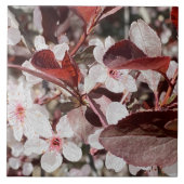 Roos Maroon Flora Keramische Tegel Tegeltje (Voorkant)