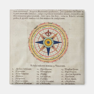 Roos met 32 winden van de wereld magneet