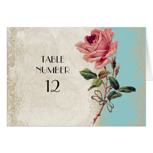  Roos met barokke stijl Aqua n Cream Lace (Voorkant Horizontaal)