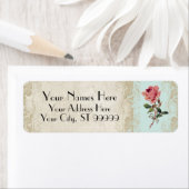 Roos met barokke stijl Aqua n Cream Lace Etiket (Insitu)