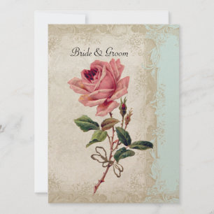 Roos met barokke stijl Aqua n Cream Lace Kaart