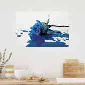 Roos met blauw bloeden poster (Keuken)