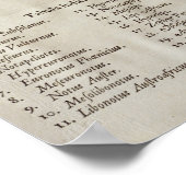 Roos met de 32 winden van de wereld poster (Hoek)