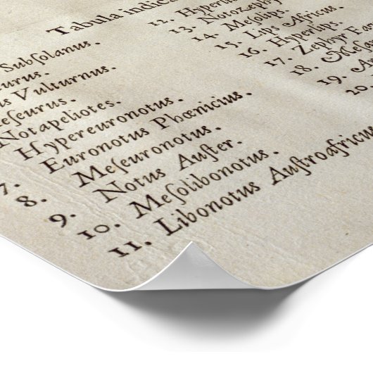 Roos met de 32 winden van de wereld poster (Hoek)