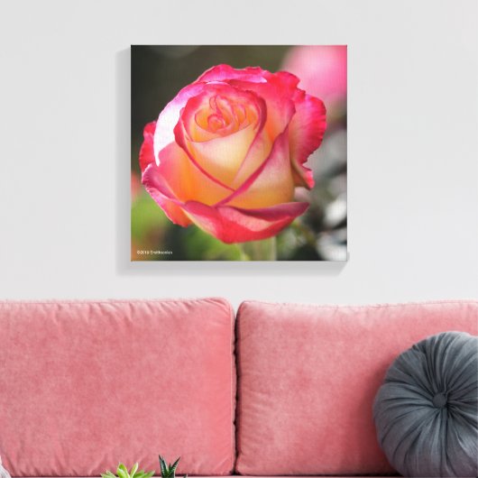 Roos met dubbele helderheid canvas afdruk (Insitu (Woonkamer))