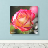 Roos met dubbele helderheid canvas afdruk (Insitu (Houten vloer))