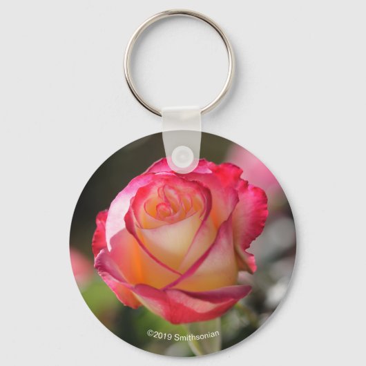 Roos met dubbele helderheid sleutelhanger (Voorkant)