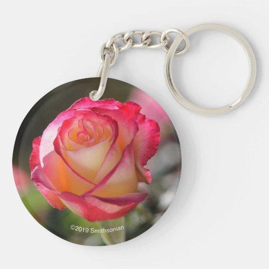 Roos met dubbele helderheid sleutelhanger (Achterkant)