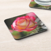 Roos met dubbele vertraging bier onderzetter (Linkerzijde)