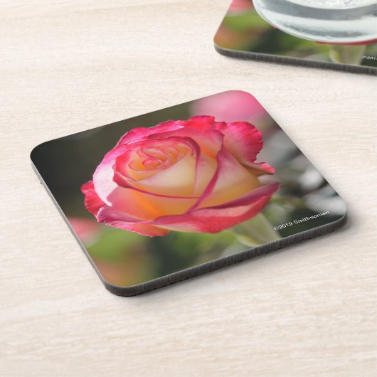 Roos met dubbele vertraging bier onderzetter (Linkerzijde)