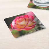 Roos met dubbele vertraging kartonnen onderzetters (Schuin)