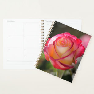 Roos met dubbele vertraging planner