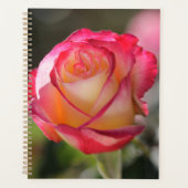 Roos met dubbele vertraging planner (Voorkant)